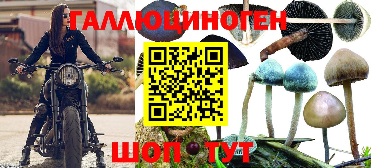Ипатово  Галлюциногенные грибы мицелий  Вход с VPN 