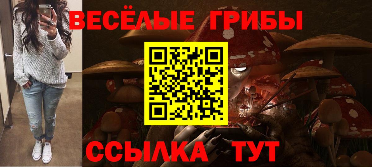 Псилоцибиновые грибы ЛСД Ипатово